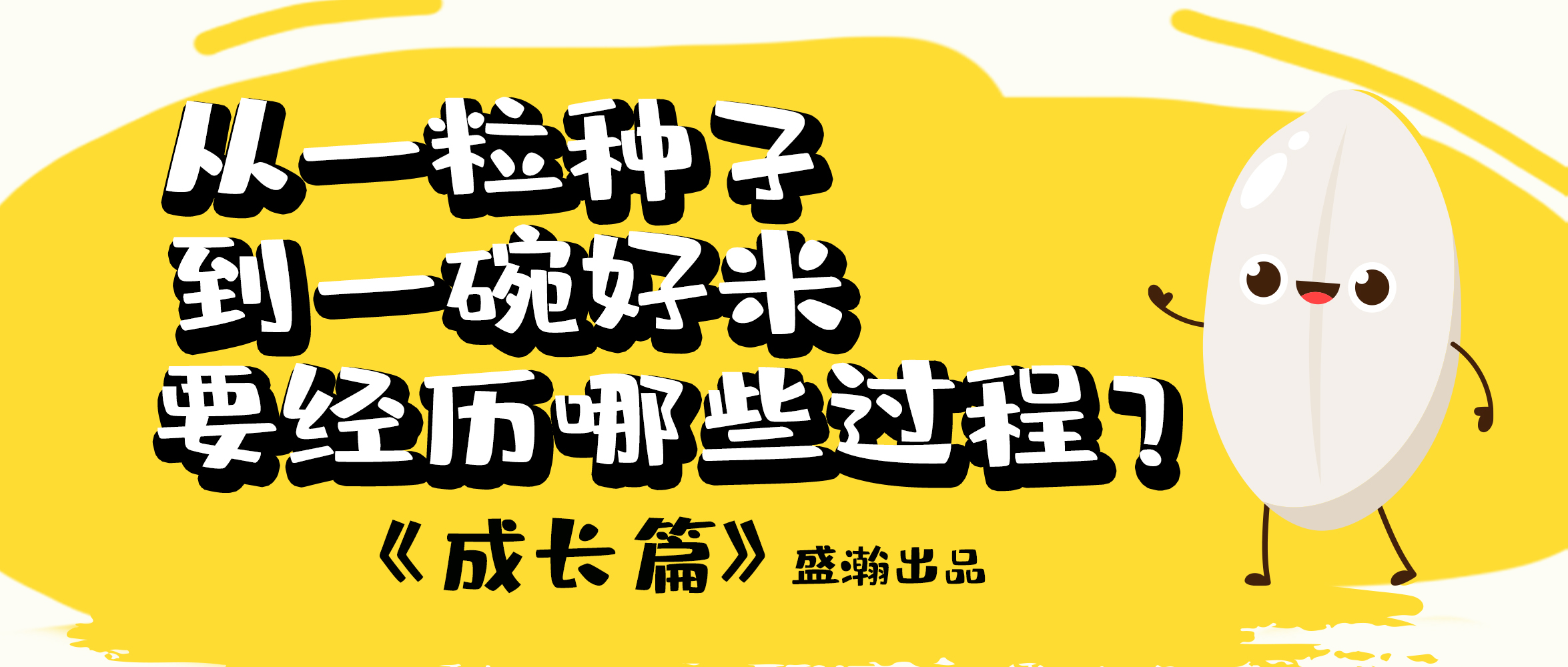 大米的一生-成長篇 | 從一粒種子到一碗好米要經(jīng)歷哪些過程？