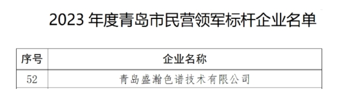 喜訊 | 盛瀚入選2023年度市民營(yíng)領(lǐng)軍標(biāo)桿企業(yè)名單